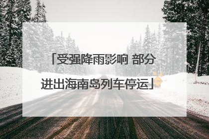 受强降雨影响 部分进出海南岛列车停运